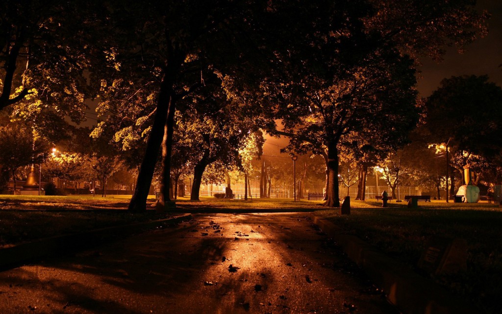 ночью в парке