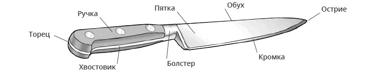 Анатомия кухонного ножа