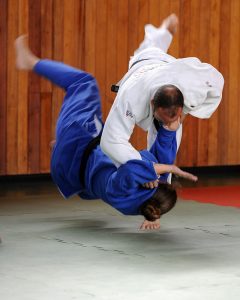 Judo Techniques