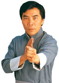 Wing Chun Techniques