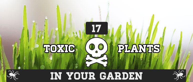 Poisonous-Plants-in-Your-Garden