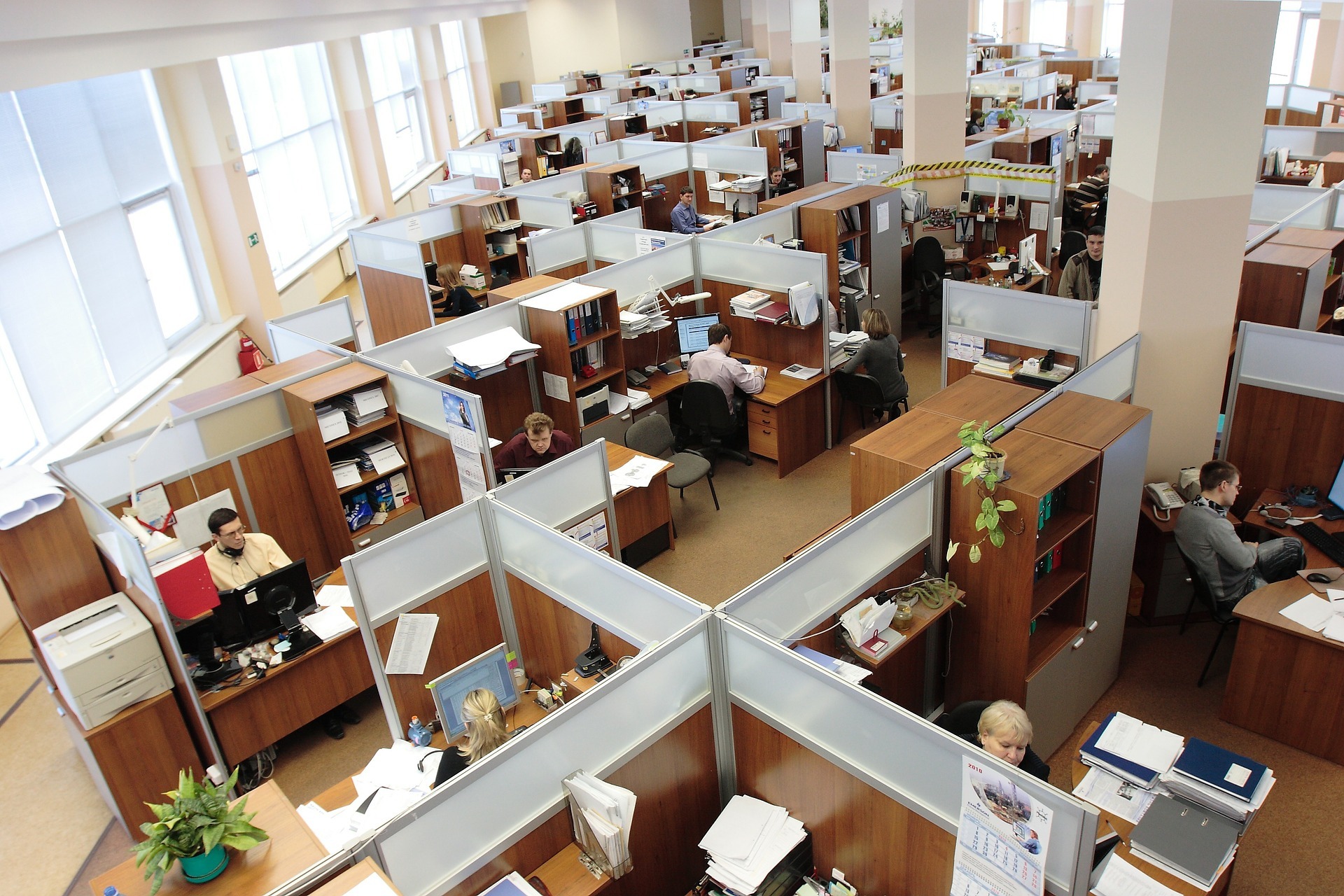 Office full of people and cubicles