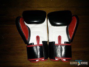 Top 10 Boxing Gloves photo
