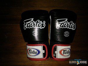 Top 10 Boxing Gloves photo