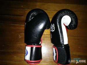 Fairtex Boxing Gloves Review photo