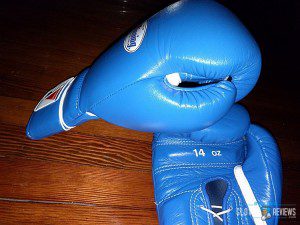 Winning Boxing Gloves MS-500