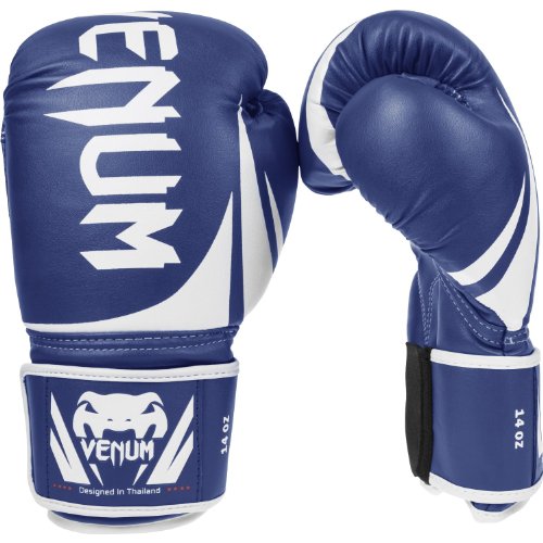 The Best Beginners Boxing Gloves - Venum Challenger 2.0 Boxing Gloves