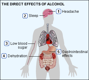 alcohol effects