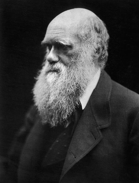 Чарльз Дарвин. Фото 1868 года.jpg