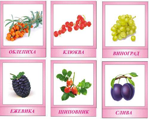Картинки лесных ягод для детей детского сада   подборка (20)