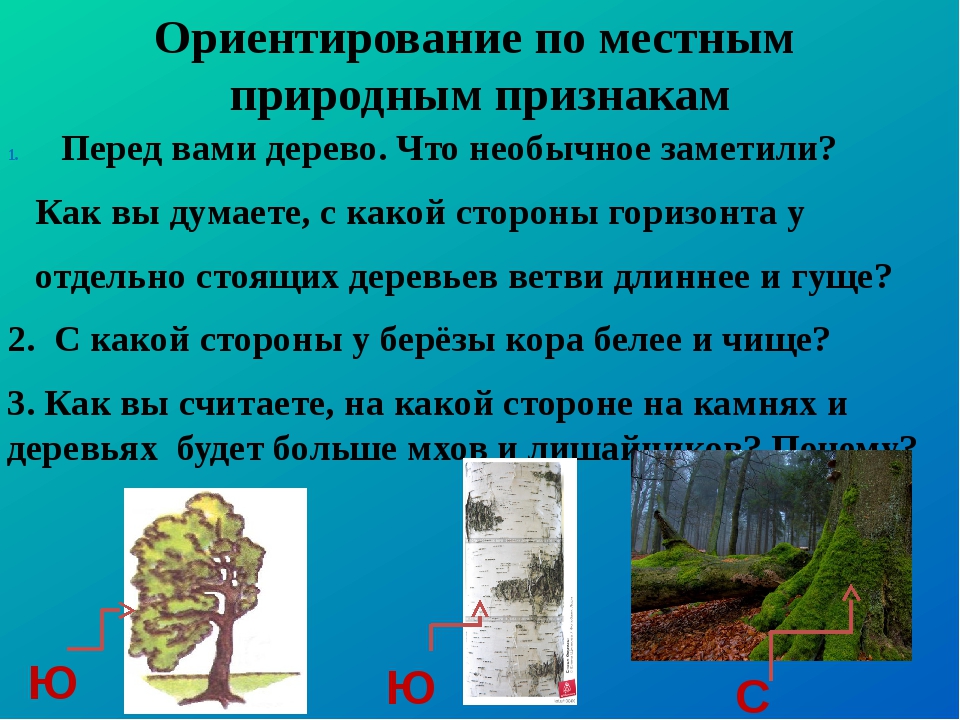 Напишите природные. Ориентирование по местным. По природным признакам. Ориентирование по местности по местным признакам. Ориентирование по местным природным.