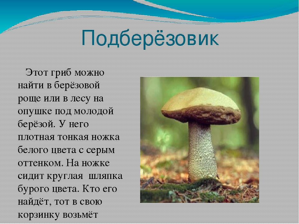 Слова на тему грибы