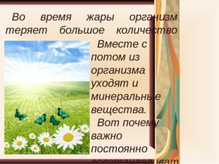 Во время жары организм теряет большое количество влаги. Вместе с потом из орг