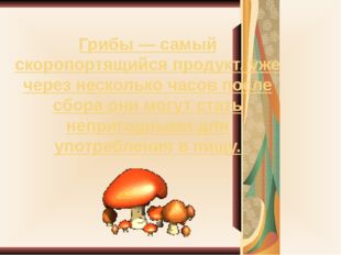 Грибы — самый скоропортящийся продукт, уже через несколько часов после сбора