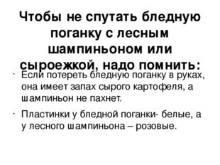 Чтобы не спутать бледную поганку с лесным шампиньоном или сыроежкой, надо пом