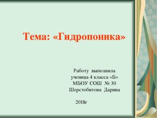 Тема: «Гидропоника» Работу выполнила ученица 4 класса «Б» МБОУ СОШ № 30 Шерс