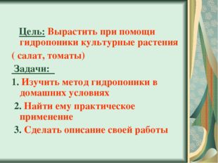 Цель: Вырастить при помощи гидропоники культурные растения ( салат, томаты)