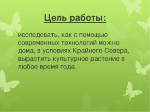 Цель работы: исследовать, как с помощью современных технологий можно дома, в