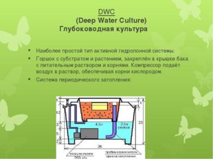 DWC (Deep Water Culture) Глубоководная культура Наиболее простой тип активной