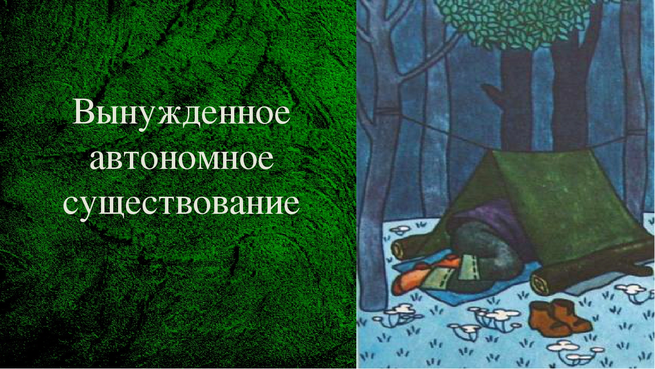 Выживание в условиях автономного существования презентация