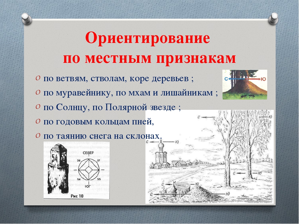 Запиши правила ориентирования по местным природным признакам используя данные рисунки 2 класс ответы