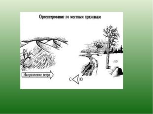 Если вы заблудились в лесу в пасмурный день и солнце скрыто за облаками, опре