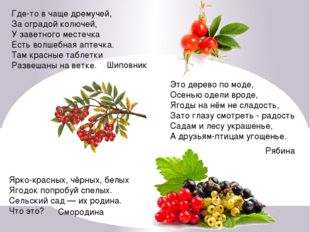 Где-то в чаще дремучей, За оградой колючей, У заветного местечка Есть волшебн