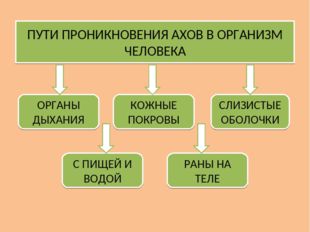 ПУТИ ПРОНИКНОВЕНИЯ АХОВ В ОРГАНИЗМ ЧЕЛОВЕКА ОРГАНЫ ДЫХАНИЯ СЛИЗИСТЫЕ ОБОЛОЧКИ