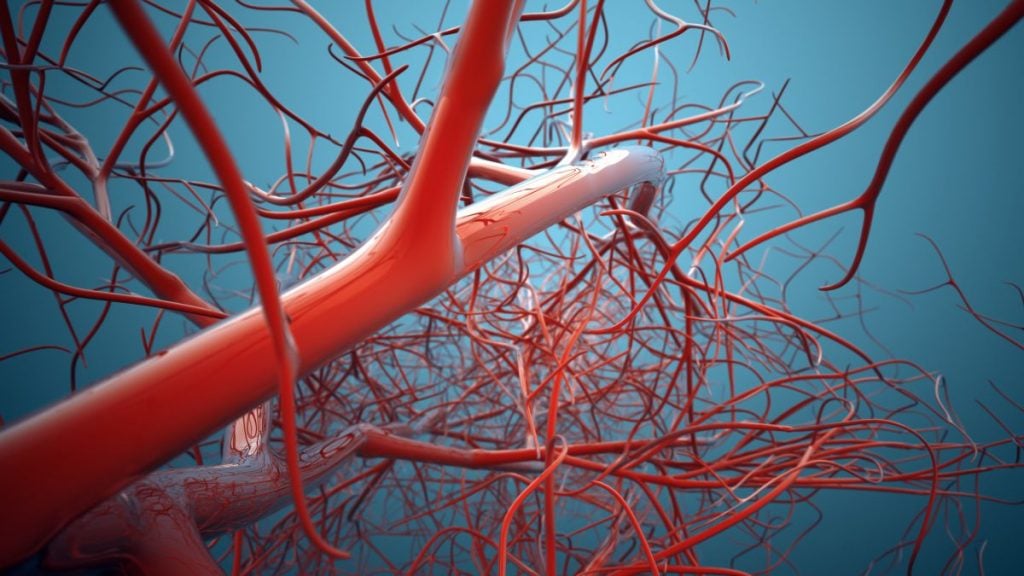 vasodilation blood vessels