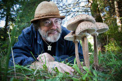 интересные факты о грибах 
