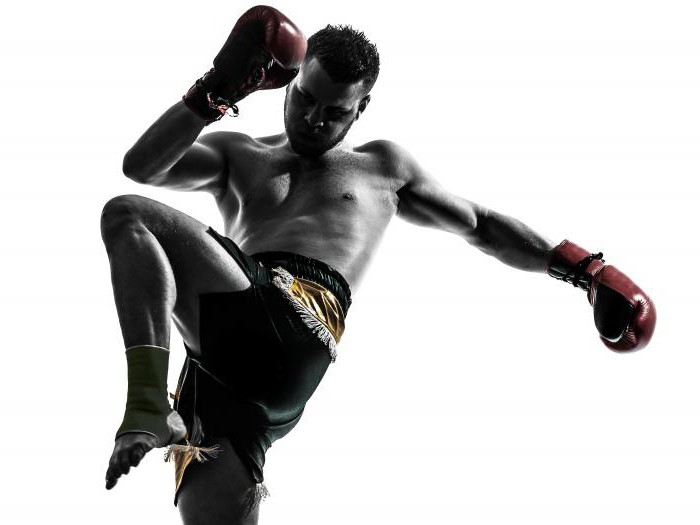 Чем отличаются перчатки для бокса и тайского бокса: Разница между .