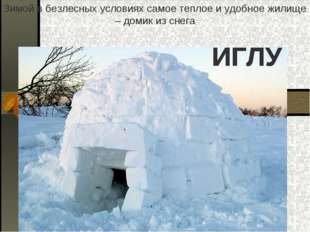 Зимой в безлесных условиях самое теплое и удобное жилище – домик из снега 