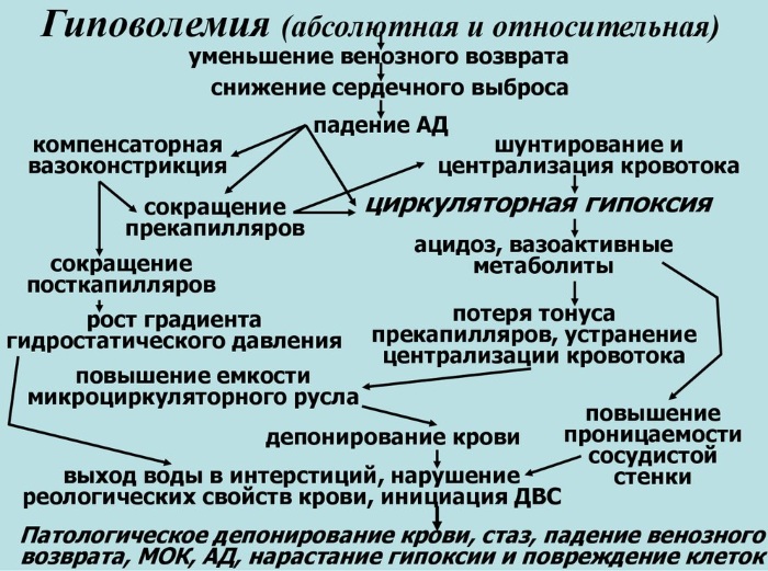 Венозное кровотечение. Признаки, первая помощь, чем характеризуется, как остановить