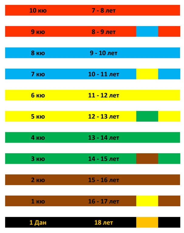Сколько поясов в карате и какого цвета по порядку фото с названиями