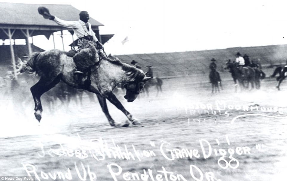 Jesse Stahl pictured flamboyantly riding a horse named Grave Digger, around 1916. Jesse Stahl is most famous for his performance at the Salinas Rodeo in California in 1912. Before more than 4,000 fans, Stahl stole the show in the rodeo