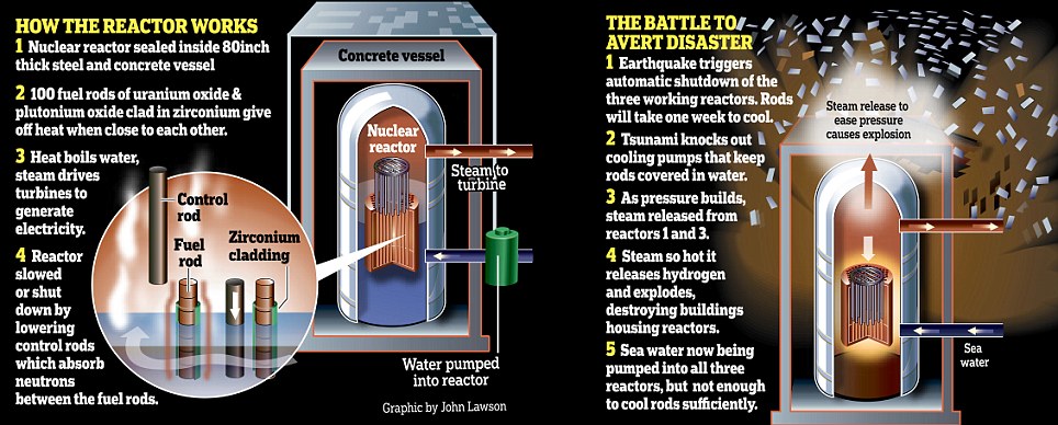 How the reactor works