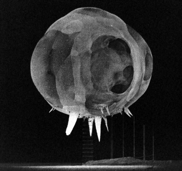 The first millisecond of a nuclear explosion: At this point, the blast is just 20 metres wide. It was captured during a nuclear test in the Fifties