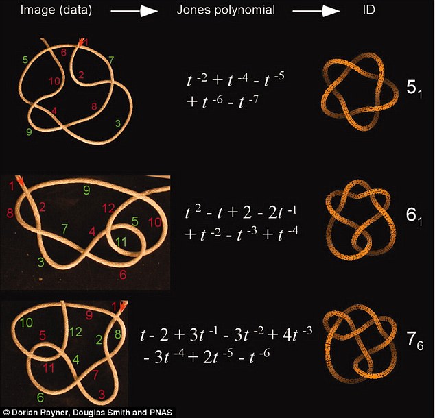 Tangled up: A total of 120 different types of knot were identified and the wire crossed a minimum of 11 times in 3,415 trials. Pictured left are digital photos of the knots. The coloured numbers mark the segments between each crossing. Green marks an under-crossing and red marks an over-crossing