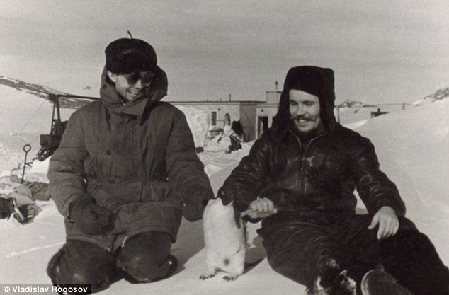 Mr Rogozov (pictured right) was part of a team of 12 building a polar base when he became ill with appendicitis. He knew if the organ burst he would die 