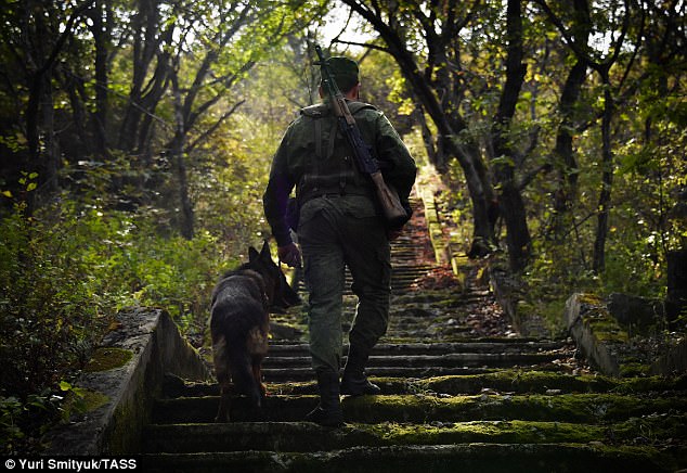 One of the soldiers walks a guard dog up a set of steps in the wooded Russian district of Primorye 