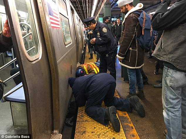 The young woman became dizzy and fell off-balance, off the platform and down into the track area, policed told the New York Post