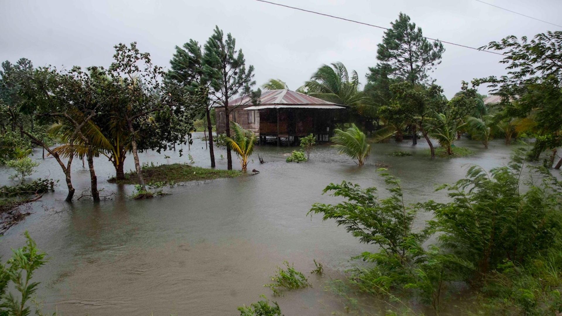Мост в гондурасе после урагана митч Мост в гондурасе после урагана митч
