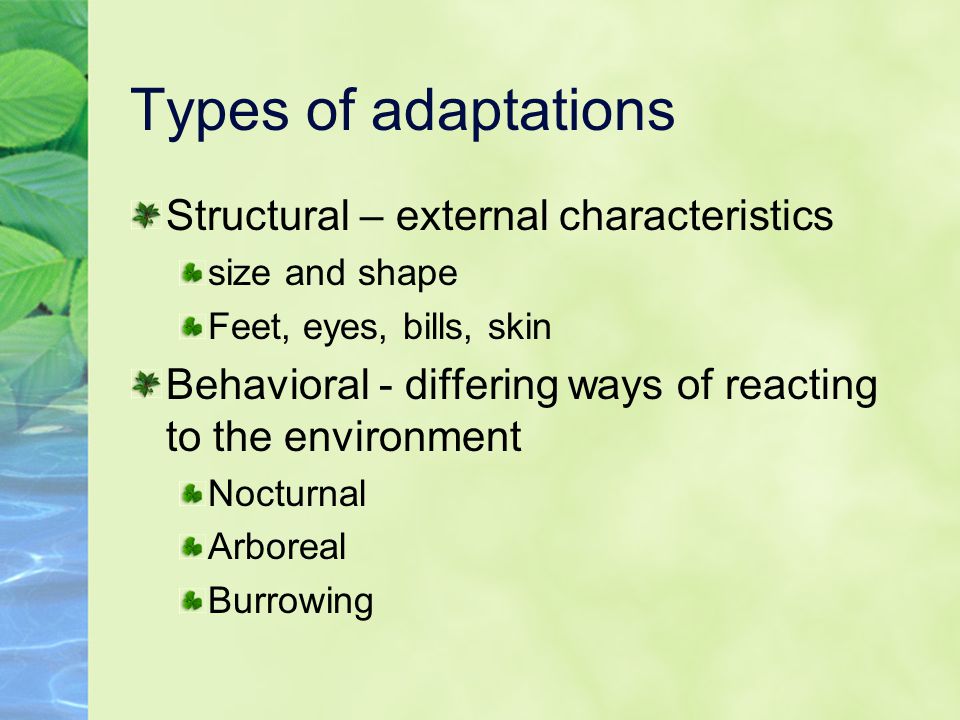Types of adaptations Structural – external characteristics size and shape Feet, eyes, bills, skin Behavioral - differing ways of reacting to the environment Nocturnal Arboreal Burrowing