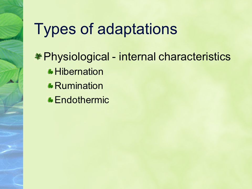 Types of adaptations Physiological - internal characteristics Hibernation Rumination Endothermic