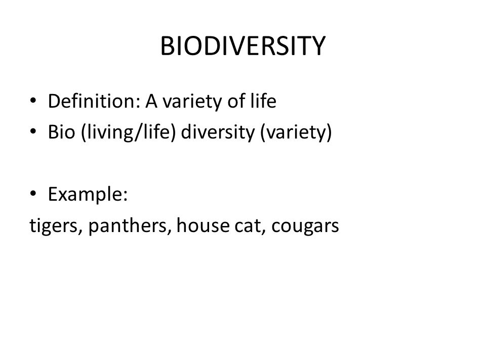 BIODIVERSITY Definition: A variety of life Bio (living/life) diversity (variety) Example: tigers, panthers, house cat, cougars