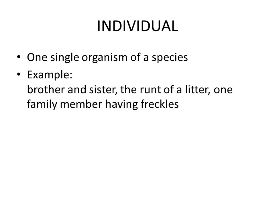 INDIVIDUAL One single organism of a species Example: brother and sister, the runt of a litter, one family member having freckles