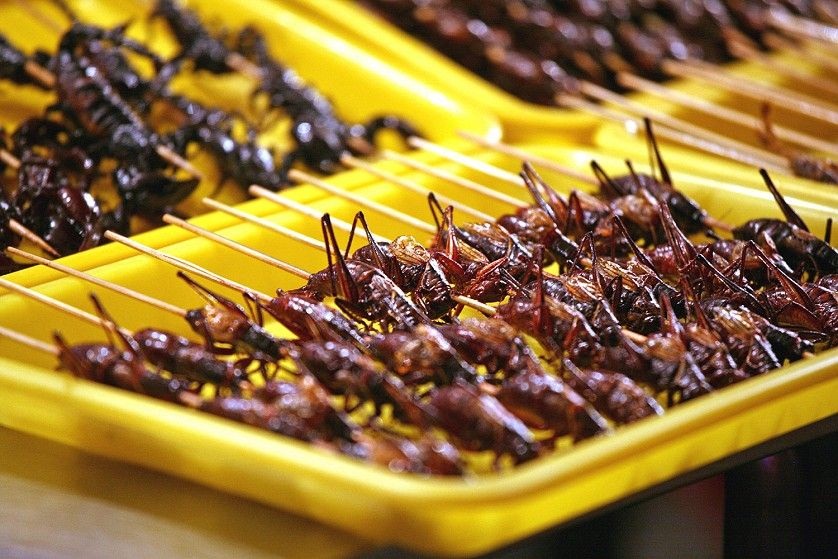 Блюда из насекомых