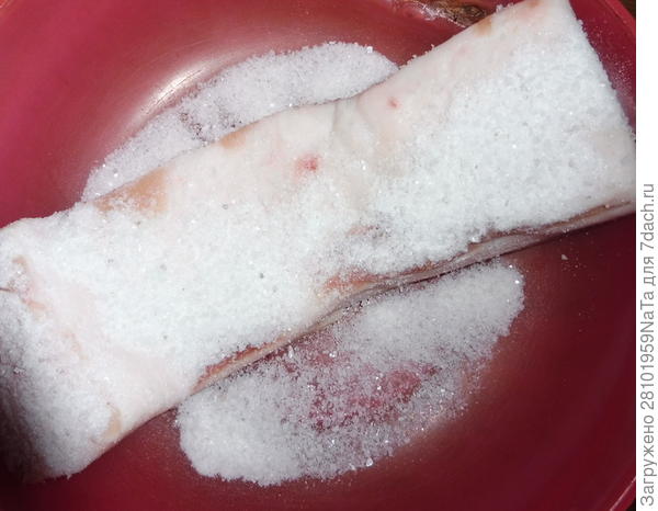 сало и соль