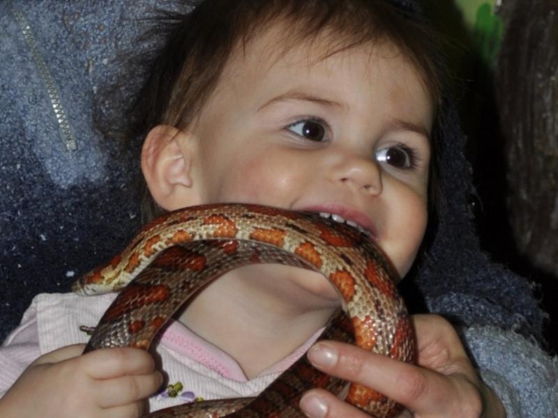 Ребенок держит змею. Малыш змеи. Змея для детей.