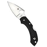 Spyderco Dragonfly 2 Lightweight Signature Folding Knife with 2.28